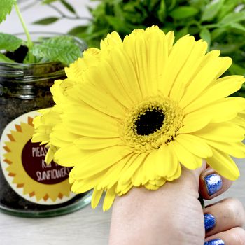 Personalised 'Don't Kill Me' Sunflower Jar Grow Kit, 5 of 12
