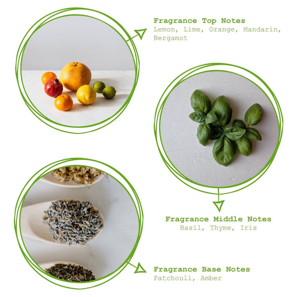 Lemon Basil And Mandarin Scented Reed Diffuser 350ml By Rinkit