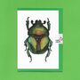 Hand Drawn Green Beetle Illustrated Blank Greeting Card, thumbnail 4 of 10