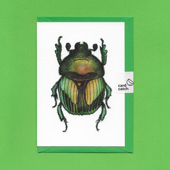 Hand Drawn Green Beetle Illustrated Blank Greeting Card, 4 of 10