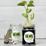 Beans Talk Message Seeds Jar Gift Set, thumbnail 8 of 8