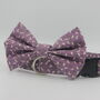 Purple Daisy Dog Collar And Lead Accessory Set, thumbnail 10 of 12