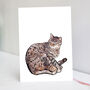 Sleeping Tabby Cat Card | Sleeping Cat Card, thumbnail 1 of 3