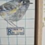 Chiff Chaff No.1086, thumbnail 2 of 2