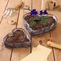 Set Of Two Heart Planter Trays, thumbnail 1 of 7
