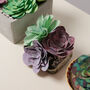 Paper Succulent Making Letterbox Gift Set, thumbnail 7 of 11
