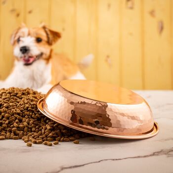 Solid Copper Pet Bowl With Bone Motif, 3 of 8