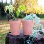 Green Goddess Terracotta Plant Pot, thumbnail 3 of 3