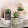 Set Of Three Artificial Succulent Plants In Pot, thumbnail 1 of 8