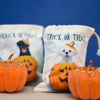 Spooky Trick Or Treat Halloween Dog Treat Bag, 2 of 12