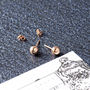 Sterling Silver Ball Stud Earrings, thumbnail 4 of 10
