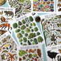 Wildlife Of Britain Postcard Pack Volume Two, thumbnail 6 of 11