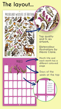 2025 Wildlife Habitats Wall Calendar, 2 of 12