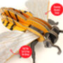 Build Your Own Honey Bee, thumbnail 11 of 12