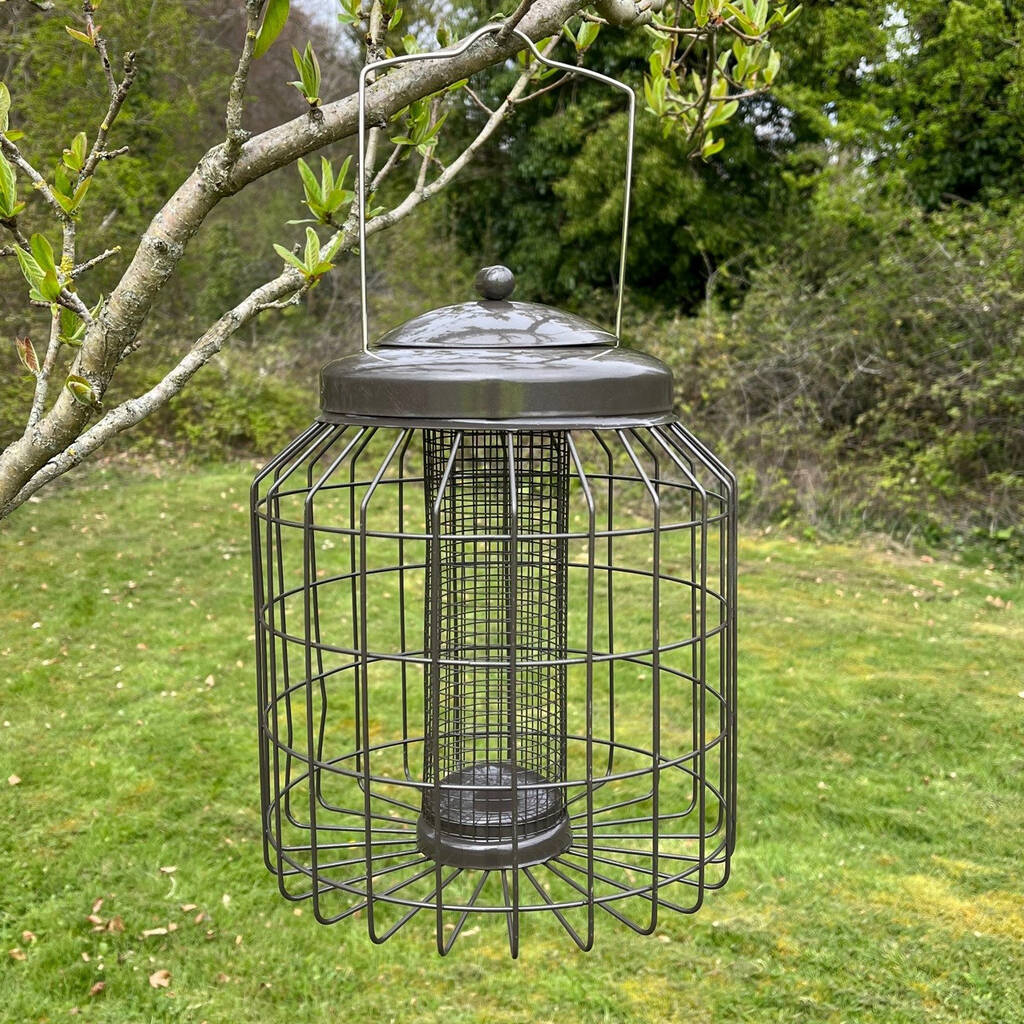 Set Of Two Squirrel Proof Nut Bird Feeders By Garden Selections