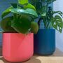 3D Printed Curved Plant Pot – Gardening Gifts, thumbnail 2 of 9