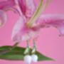 White Lily Of The Valley Dangle Earrings Base Metal Stainless Steel, thumbnail 5 of 9