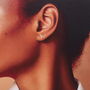 Sterling Silver Dinosaurs Earrings, thumbnail 3 of 8