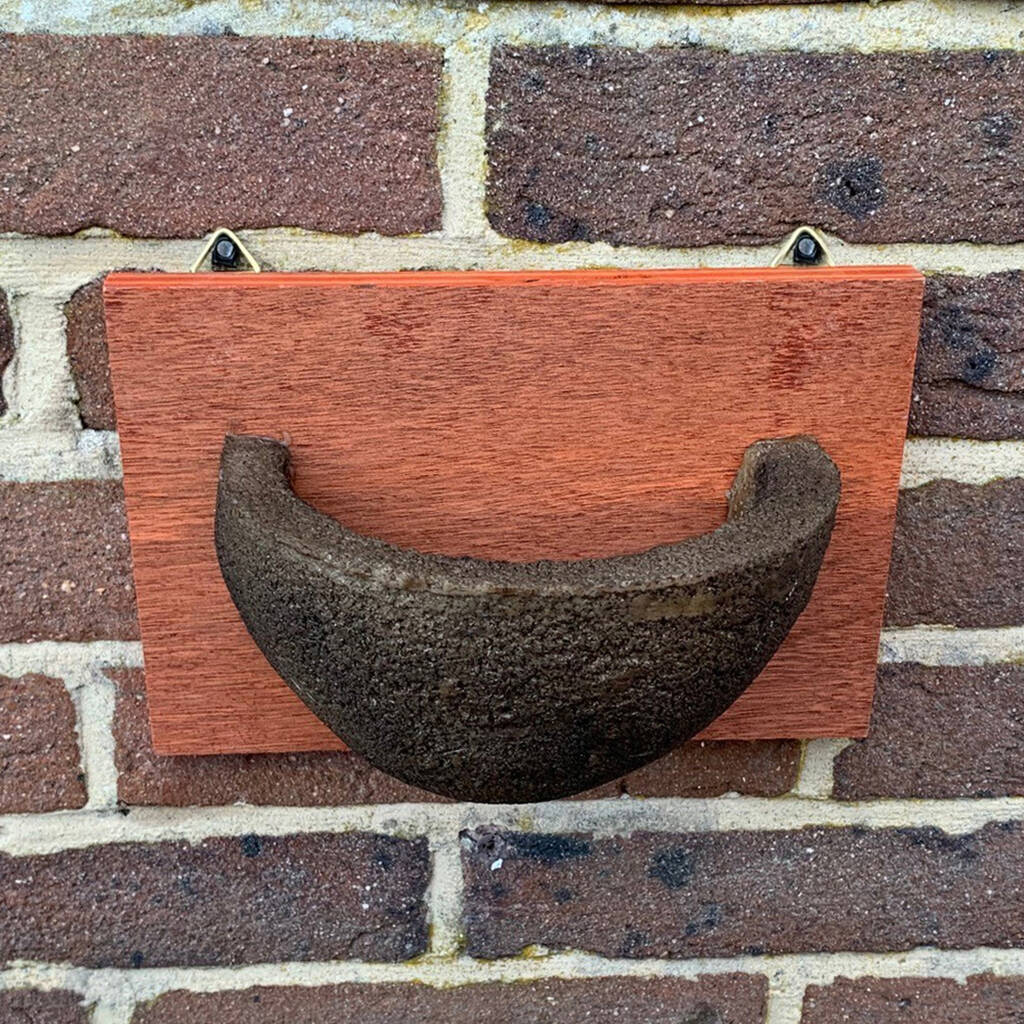 Swallow Nest Cup By Garden Selections