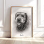 Personalised Black And White Pencil Sketch Pet Portrait, thumbnail 6 of 12