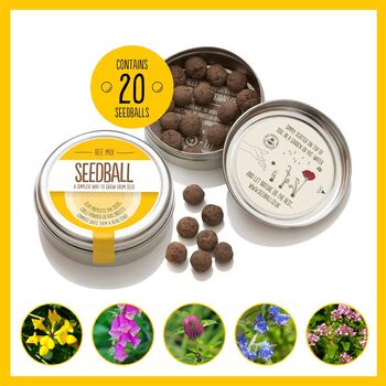 Bee Seedball Wildflower Gift Seed Ball Mix Tin, 2 of 10