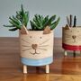 Cat Plant Pots Handmade Ceramic Tripot, thumbnail 6 of 9