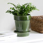 Green Plant Pot With Saucer, thumbnail 1 of 3
