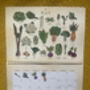 2026 Calendar UK Seasonal Fruit And Vegetable Calendar, thumbnail 4 of 12
