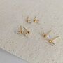 Diamond Stud Drops On Solid 9ct Gold, thumbnail 3 of 4