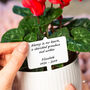 Personalised Message Remembrance Plant Marker, thumbnail 1 of 6