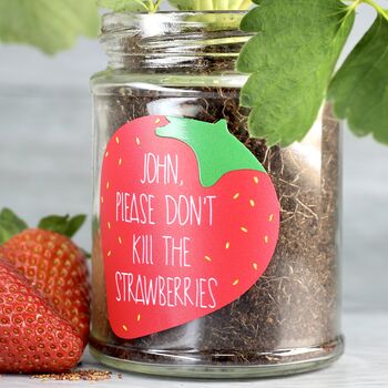 Personalised 'Don't Kill Me' Strawberry Jar Grow Kit, 3 of 11