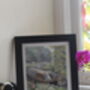 Wind In The Willows Old Prints, thumbnail 11 of 12