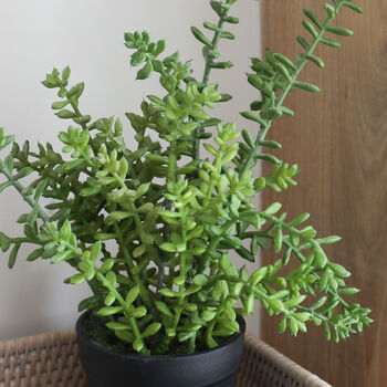Faux Succulent Plant, 3 of 3