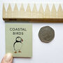 Tiny Book Of Coastal Birds Handmade Mini Nature Book, thumbnail 8 of 8