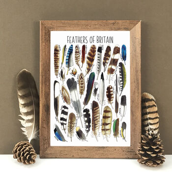 Feathers Of Britain Art Blank Greeting Card, 11 of 11