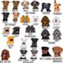 Personalised Dog T Shirt 'Favourite Hooman', thumbnail 10 of 11