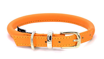 Luxury Soft Rolled Leather Dog Collar, 5 of 12