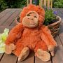 Super Soft Orangutan Cuddly Toy, thumbnail 2 of 10