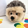Fluffy Hedgehog In Personalised Gift Bag, thumbnail 3 of 3