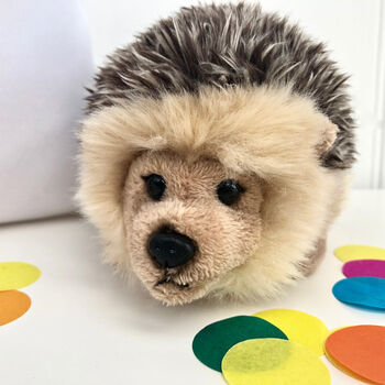 Fluffy Hedgehog In Personalised Gift Bag, 3 of 3