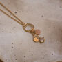 Astralis Rose Necklace Gold Filled And Zirconia Charms, thumbnail 1 of 6