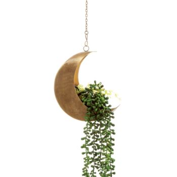 Celestial Moon Hanging Planter, 5 of 5