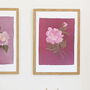 Pink Floral Print Peony, Unframed, thumbnail 1 of 3