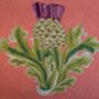 The Flanders Scottish Thistle, thumbnail 4 of 6