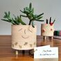 Handmade Teacher Thank You Gift Plant Pencil Pot Leaves, thumbnail 1 of 6