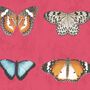 Lepidoptera Happy Pink Wallpaper, thumbnail 2 of 3