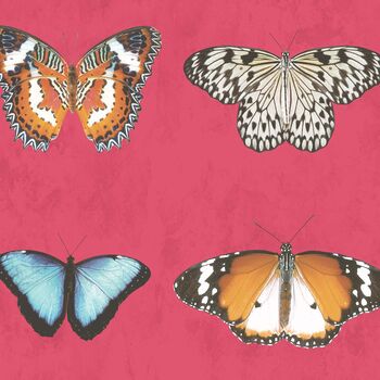Lepidoptera Happy Pink Wallpaper, 2 of 3