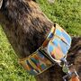 Martingale Collar In Abstract Print. Available Lead, thumbnail 3 of 8