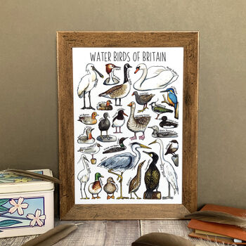 Water Birds Of Britain Watercolour Postcard, 10 of 12