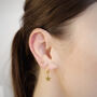 Star Hoops, thumbnail 3 of 8